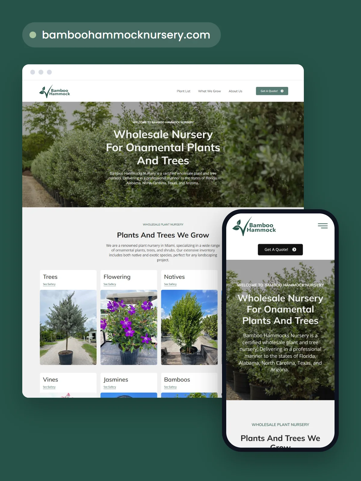 bamboo hammock nursery featured | Blue Mountain Web